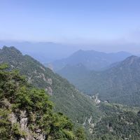 評論圖片 3