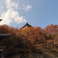 評論圖片 4
