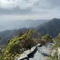 評論圖片 7