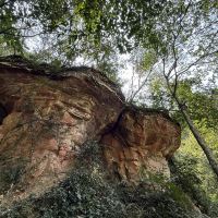 評論圖片 5