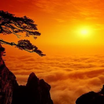 評論圖片 1