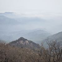 評論圖片 9