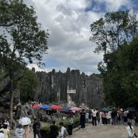 評論圖片 5