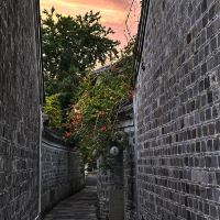 評論圖片 2