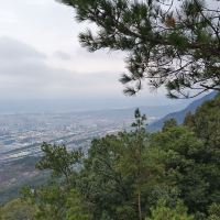 評論圖片 6