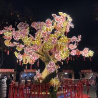 評論圖片 5