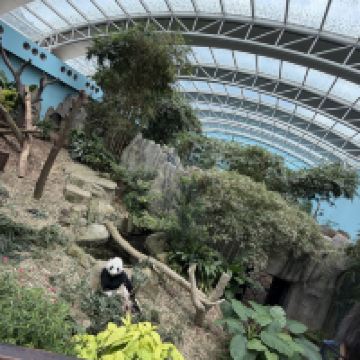 評論圖片 5