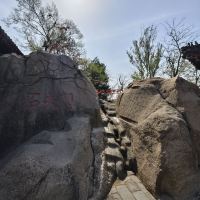 評論圖片 5
