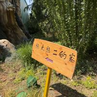 評論圖片 7
