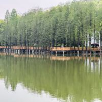 評論圖片 2