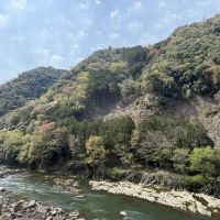 評論圖片 2