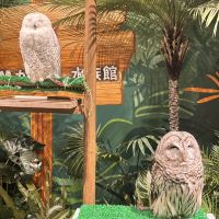 評論圖片 5