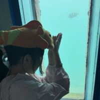 評論圖片 2