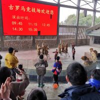 評論圖片 6
