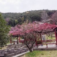 評論圖片 6