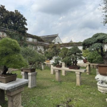 評論圖片 1