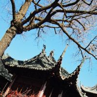 評論圖片 2