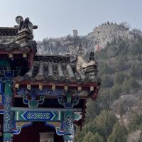 評論圖片 6