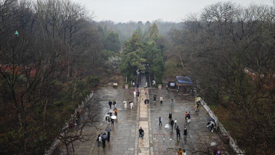 南京之行最满意的地方，明孝陵梅花开的很漂亮，灵谷寺也很幽静，