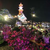 評論圖片 1