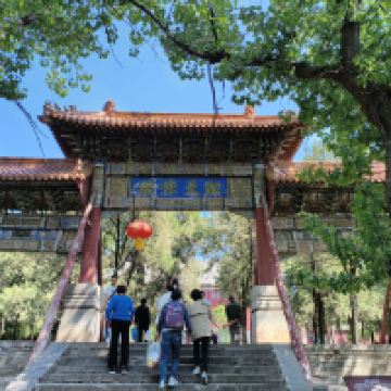 評論圖片 9