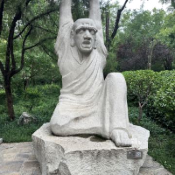 評論圖片 6
