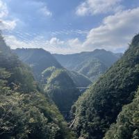 評論圖片 4