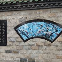 評論圖片 7