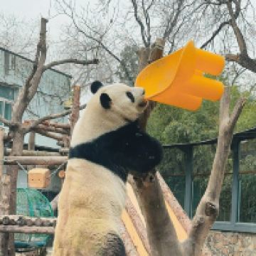評論圖片 6