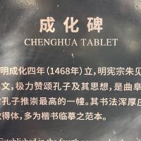 評論圖片 2
