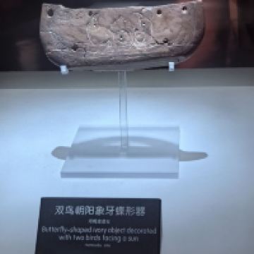 評論圖片 5