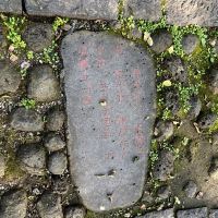 評論圖片 3