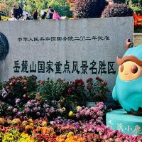 評論圖片 1