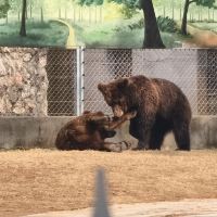 評論圖片 5