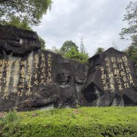 評論圖片 2