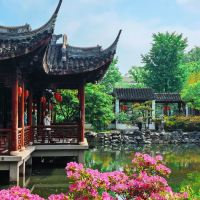 評論圖片 5