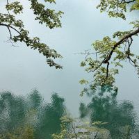 評論圖片 4