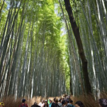 評論圖片 4