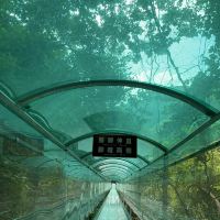 評論圖片 8
