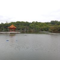評論圖片 4