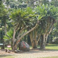 評論圖片 4