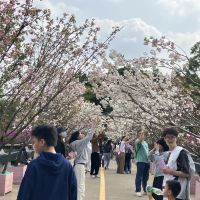 評論圖片 1