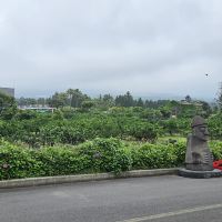 評論圖片 2