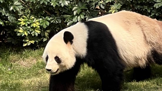 A very big theme park with lot