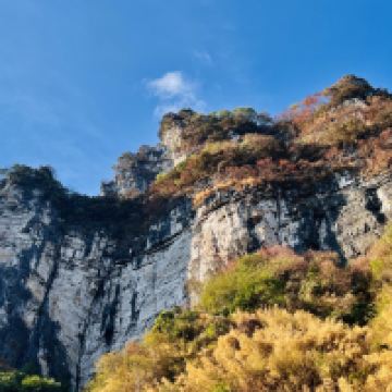 評論圖片 3