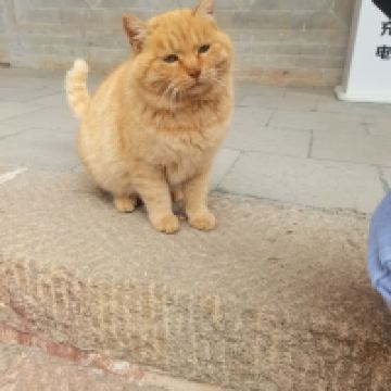評論圖片 3