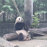 評論圖片 4