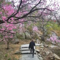 評論圖片 7