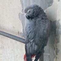 評論圖片 1