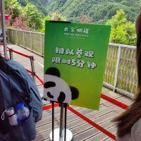 評論圖片 5